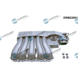 įsiurbimo kolektoriaus modulis
                                Dr.Motor Automotive                                          