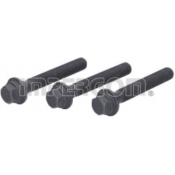 varžtų komplektas, alkūninio veleno skriemulys
                                ORIGINAL IMPERIUM                          