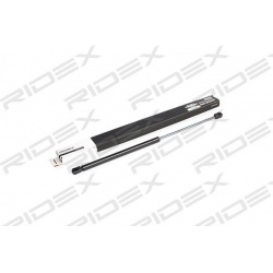 RIDEX                                                514G0060, Nenurodytas gamintojas, 514G0060, auto detalė