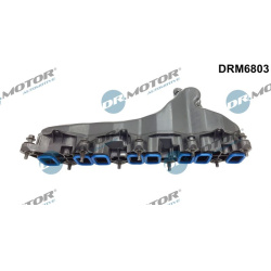 įsiurbimo kolektoriaus modulis
                                Dr.Motor Automotive                                          