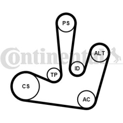 V formos rumbuotas diržas, komplektas
                                CONTINENTAL CTAM                                      
