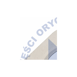 PSA Peugeot Citroen                                                1618AW, Nenurodytas gamintojas, 1618AW, auto detalė