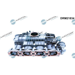 Įsiurbimo kolektoriaus modulis
                                Dr.Motor Automotive                                          