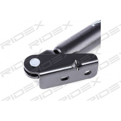 dujinė spyruoklė, bagažinė
                                RIDEX                                219G0228, Nenurodytas gam