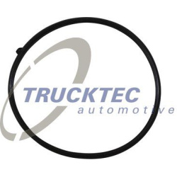 tarpiklis, įsiurbimo kolektoriaus korpusas
                                TRUCKTEC AUTOMOTIVE                              