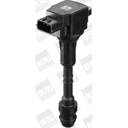 ritė, uždegimas
                                BorgWarner (BERU)                                                ZSE134, Bo