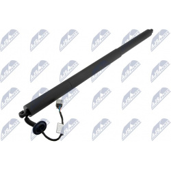 dujinė spyruoklė, bagažinė
                                NTY-SPEC                                                AE-FR-