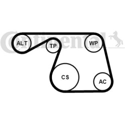 V formos rumbuotas diržas, komplektas
                                CONTINENTAL CTAM                                      