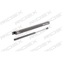dujinė spyruoklė, bagažinė
                                RIDEX                                                219G0849,