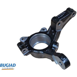 pasukamasis kakliukas, rato pakaba
                                BUGIAD                                                BSP2