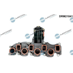 įsiurbimo kolektoriaus modulis
                                Dr.Motor Automotive                                          