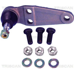 Šarnyras
                                TRISCAN                                                8500 2748, Nenurodytas gamin