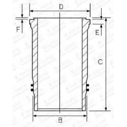 cilindro įvorė
                                GOETZE ENGINE                                15-450870-00, Nenurodytas gamin