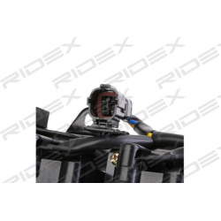 ritė, uždegimas
                                RIDEX                                689C0195, Nenurodytas gamintojas, 689C