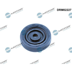 Dr.Motor Automotive                                                DRM02227, Dr.Motor Automotive, DRM02227, auto detalė