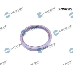 veleno sandariklis, alkūninis velenas
                                Dr.Motor Automotive                                   