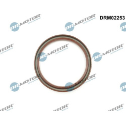 Dr.Motor Automotive                                                DRM02253, Dr.Motor Automotive, DRM02253, auto detalė