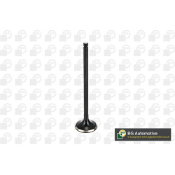 išmetimo vožtuvas
                                BGA                                V165411, BGA, V165411, auto detalė