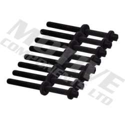 varžtų kompl., cil. galvutės varžtai
                                MOTIVE                                              