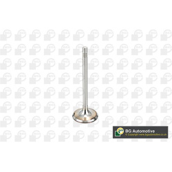 įsiurbimo vožtuvas
                                BGA                                                V164520, BGA, V164520