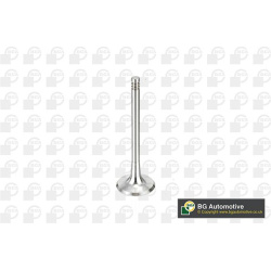 įsiurbimo vožtuvas
                                BGA                                                V163720, BGA, V163720