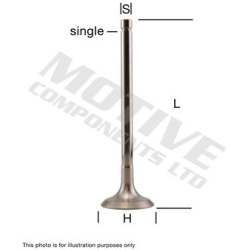 įsiurbimo vožtuvas
                                MOTIVE                                                IV1021, MOTIVE, IV