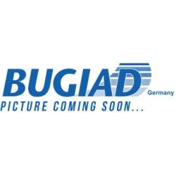 Jutiklis, žibintų diapazono reguliavimas
BUGIAD