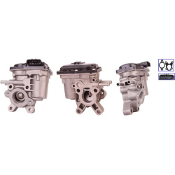 ERG vožtuvas
                                DRI                                                717730147, Nenurodytas gamin