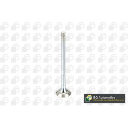 išmetimo vožtuvas
                                BGA                                                V991909, BGA, V991909,