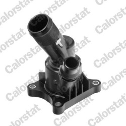 termostatas, aušinimo skystis
                                CALORSTAT by Vernet                                           