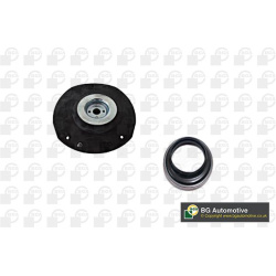 Amortizatoriaus atrama su guoliu
                                BGA                                                SM6710, B
