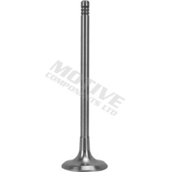 įsiurbimo vožtuvas
                                MOTIVE                                                IV9603, MOTIVE, IV