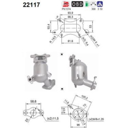 katalizatoriaus keitiklis
                                AS                                                22117, AS, 22117,