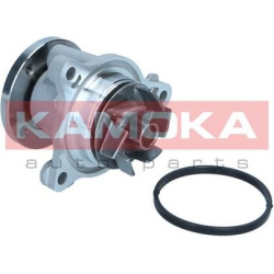 Vandens siurblys, variklio aušinimas
                                KAMOKA                                                T