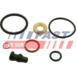 remonto komplektas, siurblio-purkštukų blokas
                                FAST                                         