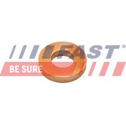 šiluminis ekranas, įpurškimo sistema
                                FAST                                                F