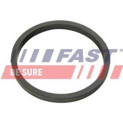 Tarpiklis, alyvos aušintuvas (tepimas)
                                FAST                                FT49924, FAST, FT