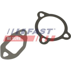 tarpiklių rinkinys, AGR sistema
                                FAST                                                FT50606,