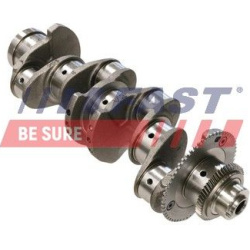 alkūninis velenas
                                FAST                                                FT51702, FAST, FT51702