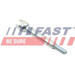 varžtas, išmetimo kolektorius
                                FAST                                                FT84538, 