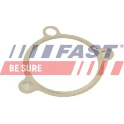 tarpiklis, EGR vožtuvas
                                FAST                                                FT50605, FAST, F