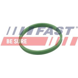 tarpiklis, turbinos oro žarna
                                FAST                                                FT49855, F