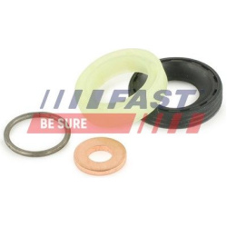 remonto komplektas, siurblio-purkštukų blokas
                                FAST                                         