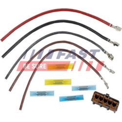 FAST                                                FT76113, FAST, FT76113, auto detalė