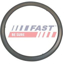 tarpiklis, išleidimo kolektorius
                                FAST                                                FT84595
