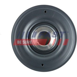 skriemulys, alkūninis velenas
                                FAST                                                FT45589, F