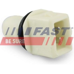 lemputės lizdas
                                FAST                                FT62704, FAST, FT62704, auto detalė