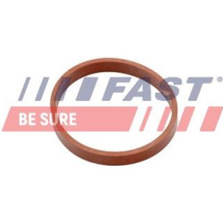 FAST                                                FT49418, FAST, FT49418, auto detalė