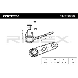 Šarnyras
                                RIDEX                                                2462S0250, Nenurodytas gaminto
