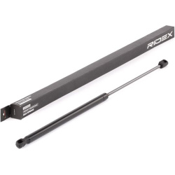 dujinė spyruoklė, gaubtas
                                RIDEX                                                514G0056, Ne